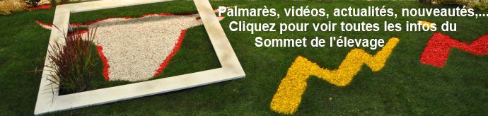 A voir également : le programme et les palmarès des concours Sommet de l'élevage 2014.