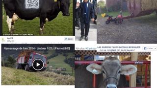 Une semaine d'élevage sur Facebook, Twitter et Google+ Une semaine d'élevage sur Facebook, Twitter et Google+
