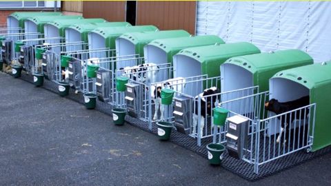 Les niches isolées Beiser testées par - 15 à + 40°C