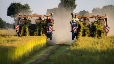 Toujours pas de place pour de nouveaux hectares en 2015
