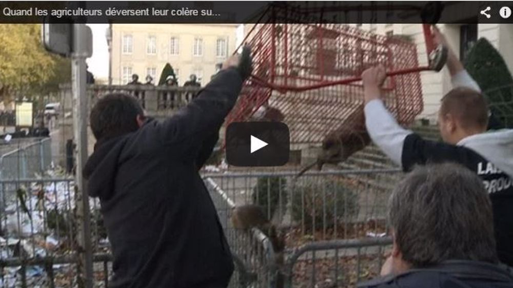 Des agriculteurs maltraitent des ragondins