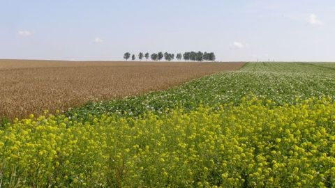 Toutes les réponses de Gautier Le Molgat à vos questions