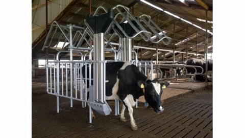 Un Dac avec sortie par l’avant chez Hanskamp