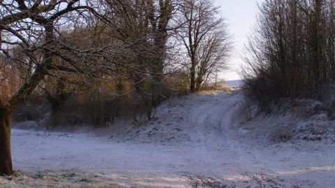Tendances pour l’hiver : du doux au froid