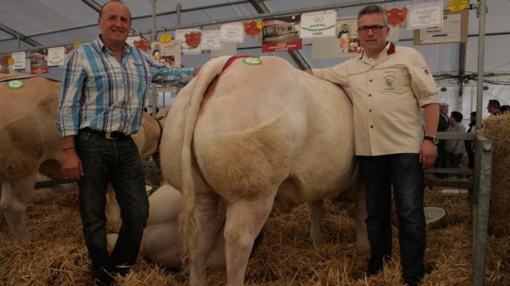 A Roanne, un succès pour la fête du Charolais A Roanne, un succès pour la fête du Charolais