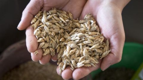 Solaal tente d’obtenir un avoir fiscal pour les dons de tous produits agricoles