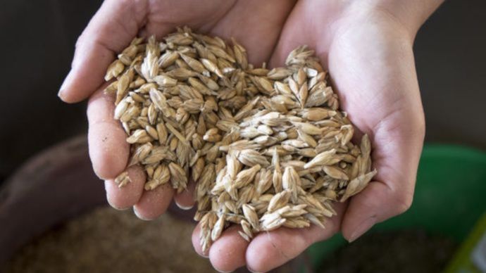 dons de produits agricoles