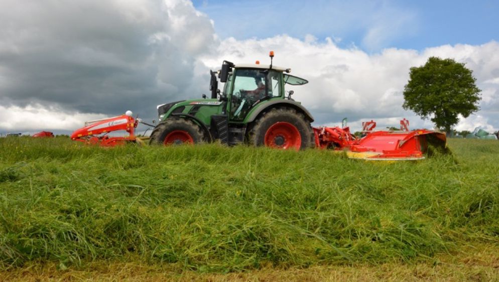 Frédéric a intensifié ses surfaces en herbe pour réduire les tourteaux