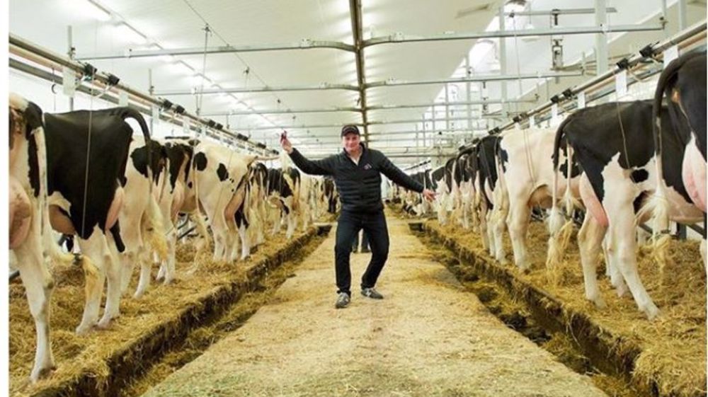 Quentin et les autres