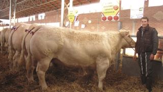 A Montmarault - Un plateau de poids et de choix qui fait recette A Montmarault - Un plateau de poids et de choix qui fait recette