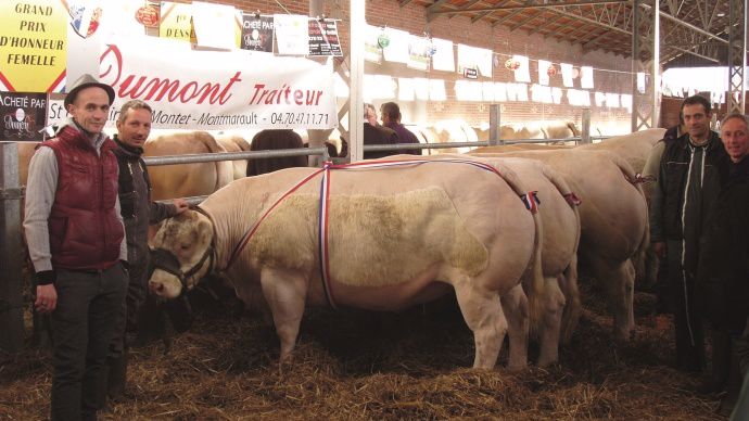 Concours Montmarault