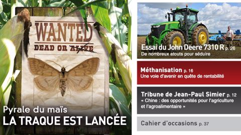 Pyrale du maïs : la traque est lancée Pyrale du maïs : la traque est lancée