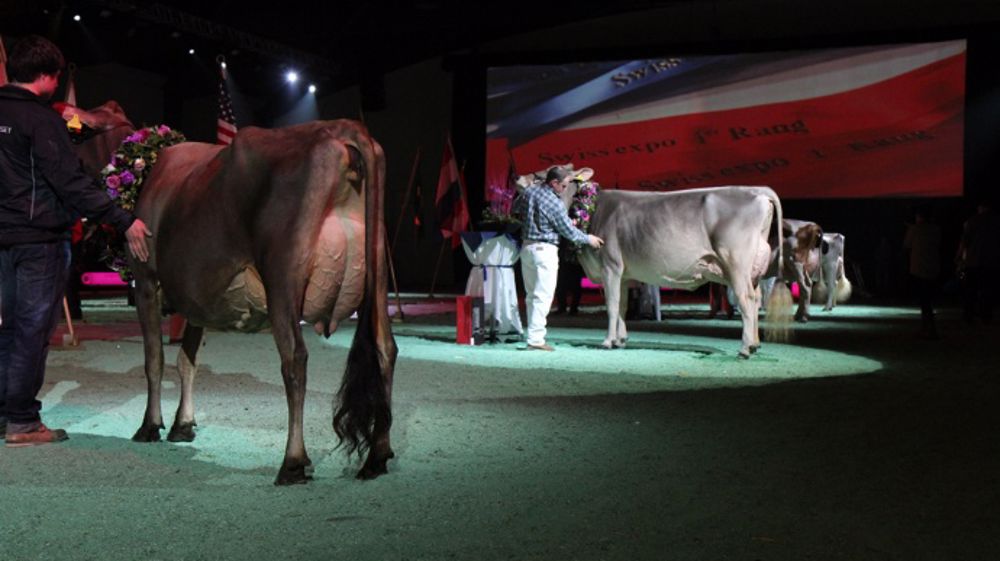 Swiss Expo dans le Top 3 des expos au monde selon Holstein International