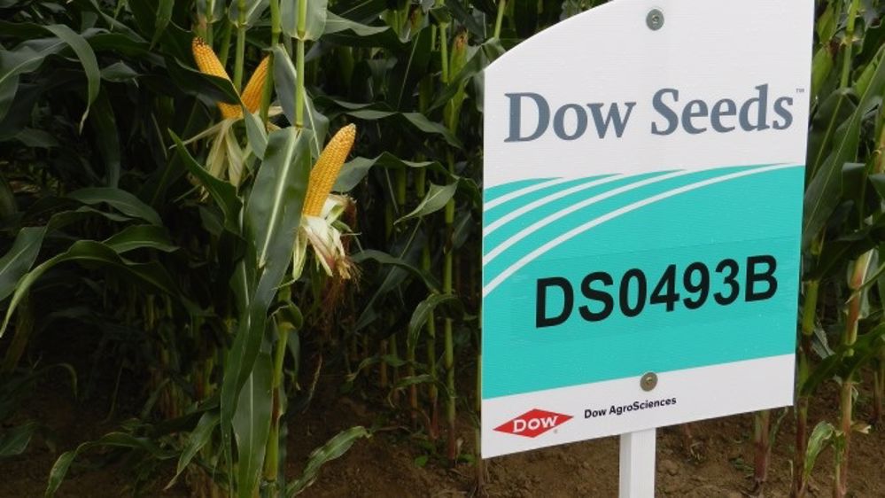 Dow Seeds comme partenaire pour couvrir tous les segments