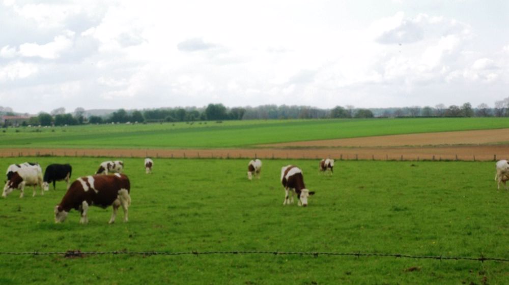 Rapprocher la filière laitière du marché, oui mais à quel prix ?