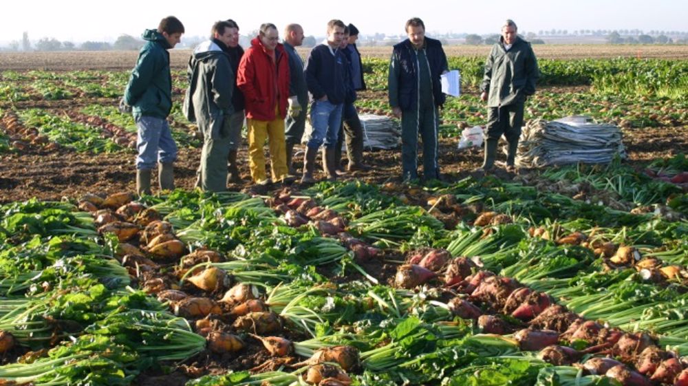 Un rendement moyen de 21.000 UFL/ha