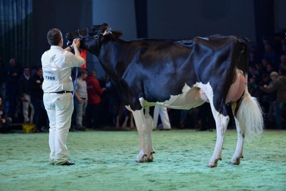 Valana, Swiss Expo 2015