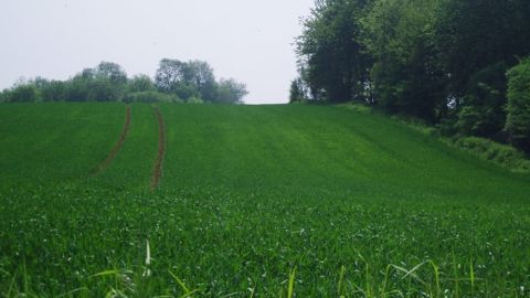 La Maec systèmes grandes cultures adaptées pour les zones intermédiaires