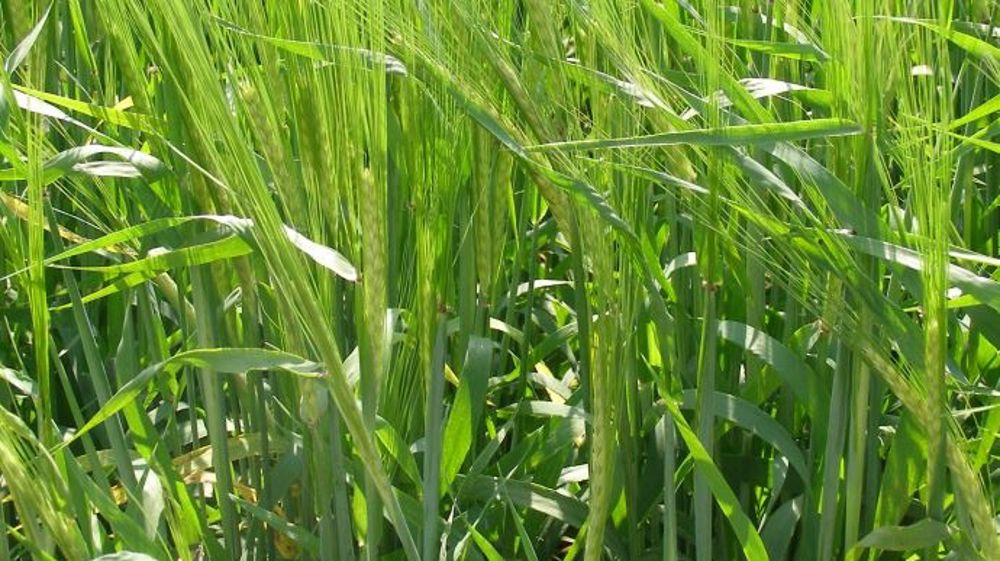 Benjamin Lecerf : « Améliorer la marge à moindre coût économique et écologique »