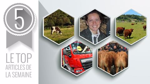 Les 5 articles les plus lus de la semaine sur Web-agri