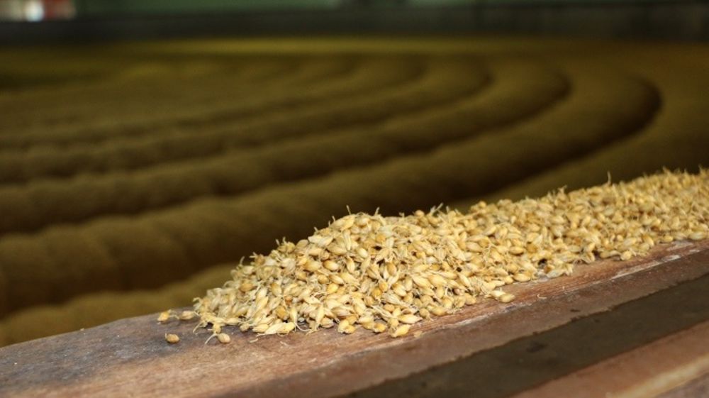 Du malt pour le grand export à partir des orges françaises