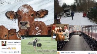Une semaine hivernale pour l'élevage sur les réseaux sociaux Une semaine hivernale pour l'élevage sur les réseaux sociaux