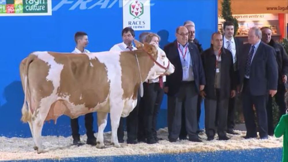 Encadrée à l'Earl du Coteau, championne adulte