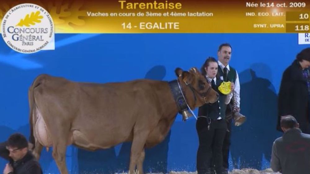 Egalité et Faon, les championnes adulte et jeune de la race