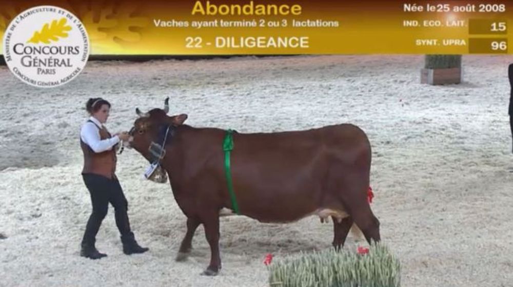 Diligeance remporte le titre de championne adulte