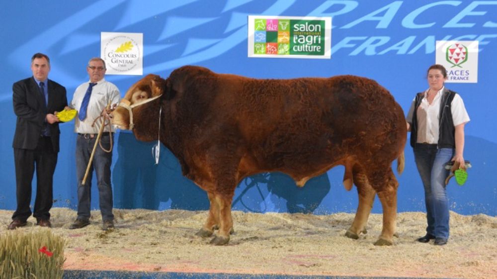 Ne cherchez pas l'Erreur, Disney fait sensation à Paris