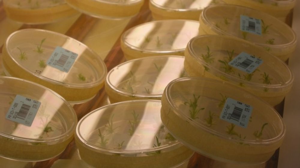 « Un levier pour produire plus et mieux » selon le président de la République
