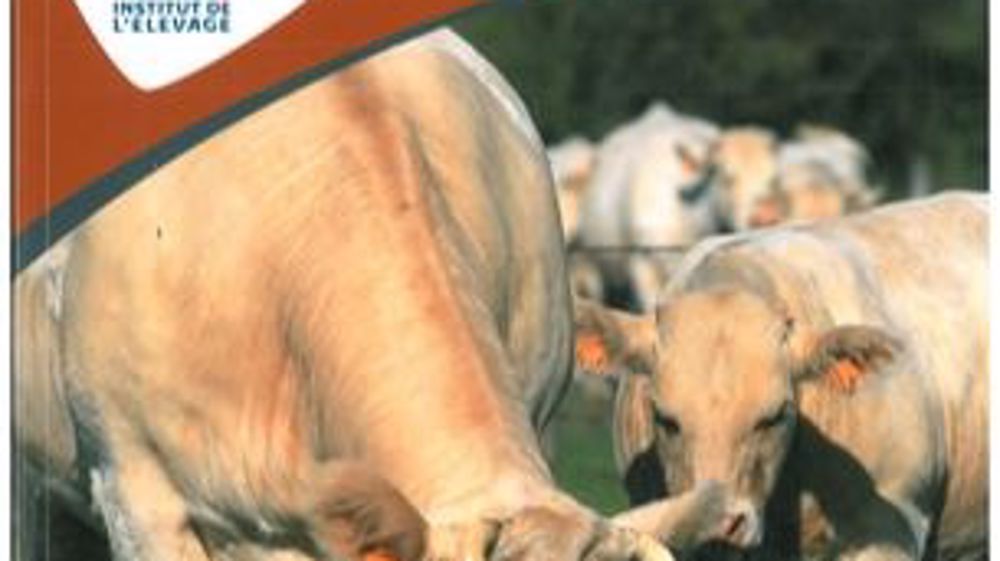 Guide de l’alimentation du troupeau bovin allaitant