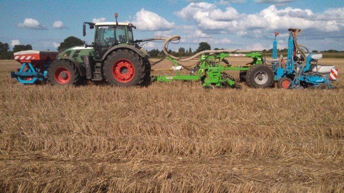 Semis de colza et fèverole en plante compagne + désherbage sur le rang