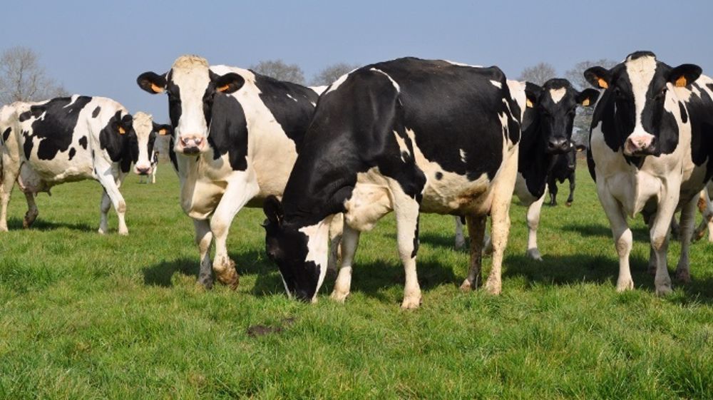 (©Terre-net Média) 