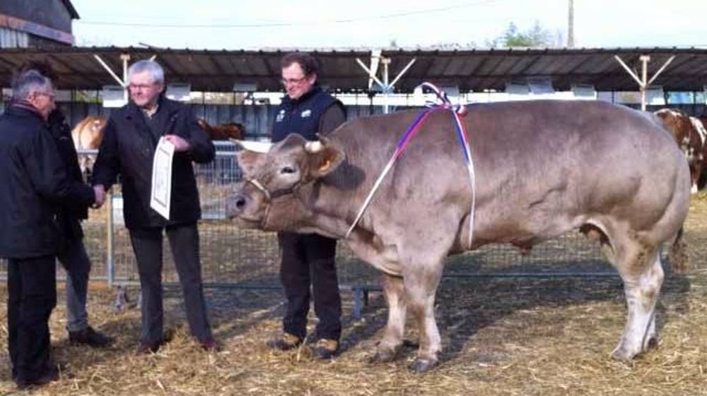 A Mamers - Une édition 2015 réussie avec des records à la clé