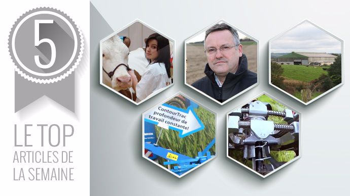 Top articles Terre-net 