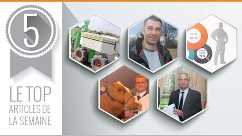 Le top articles de la semaine sur Terre-net (©Terre-net Média)