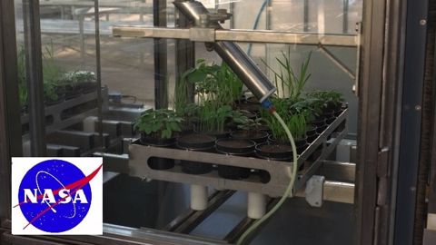 Le lancement de l'expérience de <strong>culture dans l'espace </strong> est soutenu par la recherche sur les fongicides de Basf. (©Basf) 