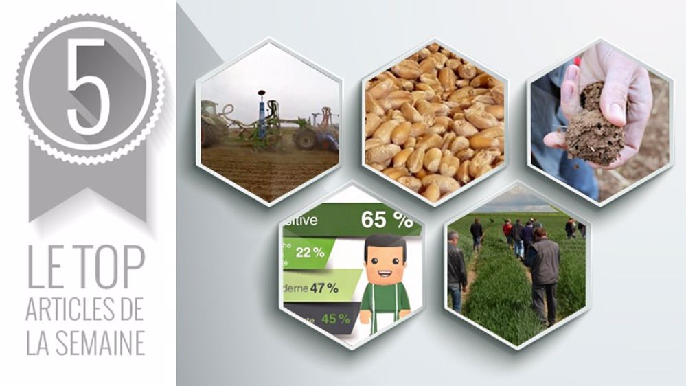 Le Top articles de la semaine sur Terre-net. (©Terre-net Média)