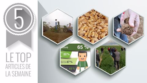 Le Top articles de la semaine sur Terre-net. (©Terre-net Média)