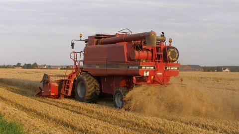 La région mer Noire promet encore relativement peu de surprises alors que la récolte de blé approche. (©Terre-net Média)