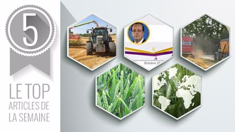 Top articles de la semaine sur Terre-net cette semaine (©Terre-net Média)