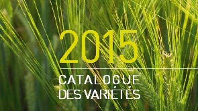 Catalogue Lemaire Deffontaines