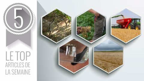 Le top articles de la semaine sur Terre-net (©Terre-net Média)