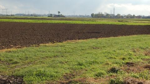 La Politique agricole commune en vigueur a modifié le bilan carbone agricole. (©Terre-net Média)
