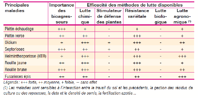 Efficacité actuelle des différentes méthodes de lutte disponibles (tableau 1).