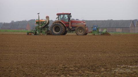 Par rapport à un semis de fin septembre, un décalage de 15 jours peut réduire de plus de 70 % l’infestation en vulpins. (©Terre-net Média)
