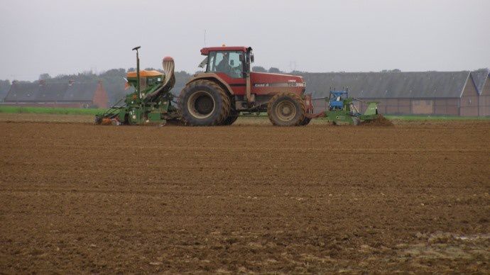 Semis de blé