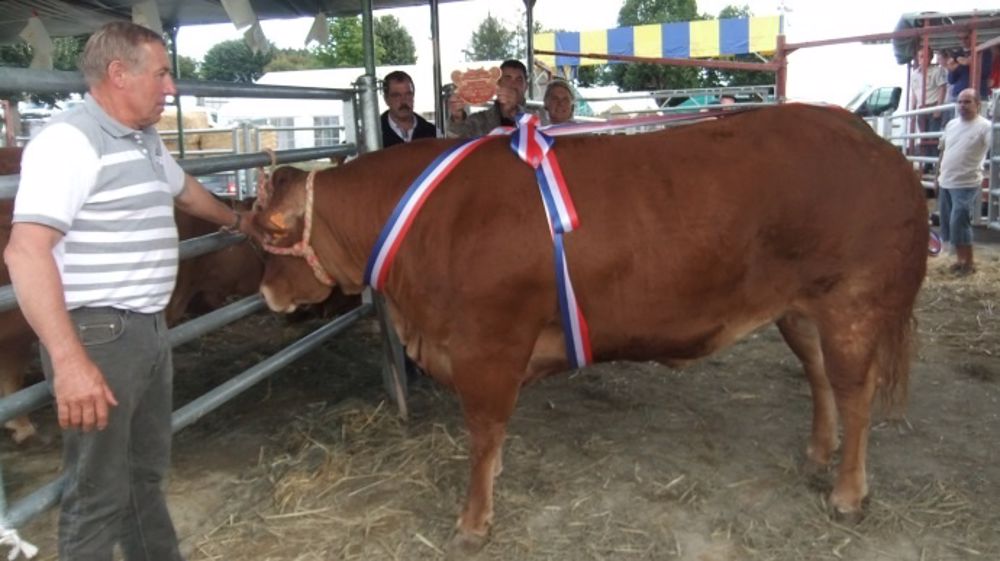 Le meilleur animal du concours est revenu au Gaec Rouvelaud. (©Duchier Nicolas)