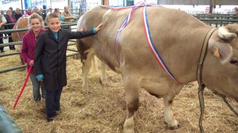 Marie et Mathieu Portmann, âgés de seulement 12 et 10 ans, étaient à l’aise avec leur énorme animal et fiers de leur victoire. (©Acti-Ouest) Marie et Mathieu Portmann, âgés de seulement 12 et 10 ans, étaient à l’aise avec leur énorme animal et fiers de leur victoire. (©Acti-Ouest)